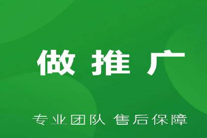 SEM搜索引擎优化策略解析与应用案例